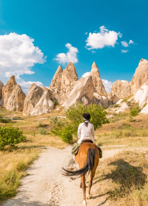 Görsel ALT Başlığı